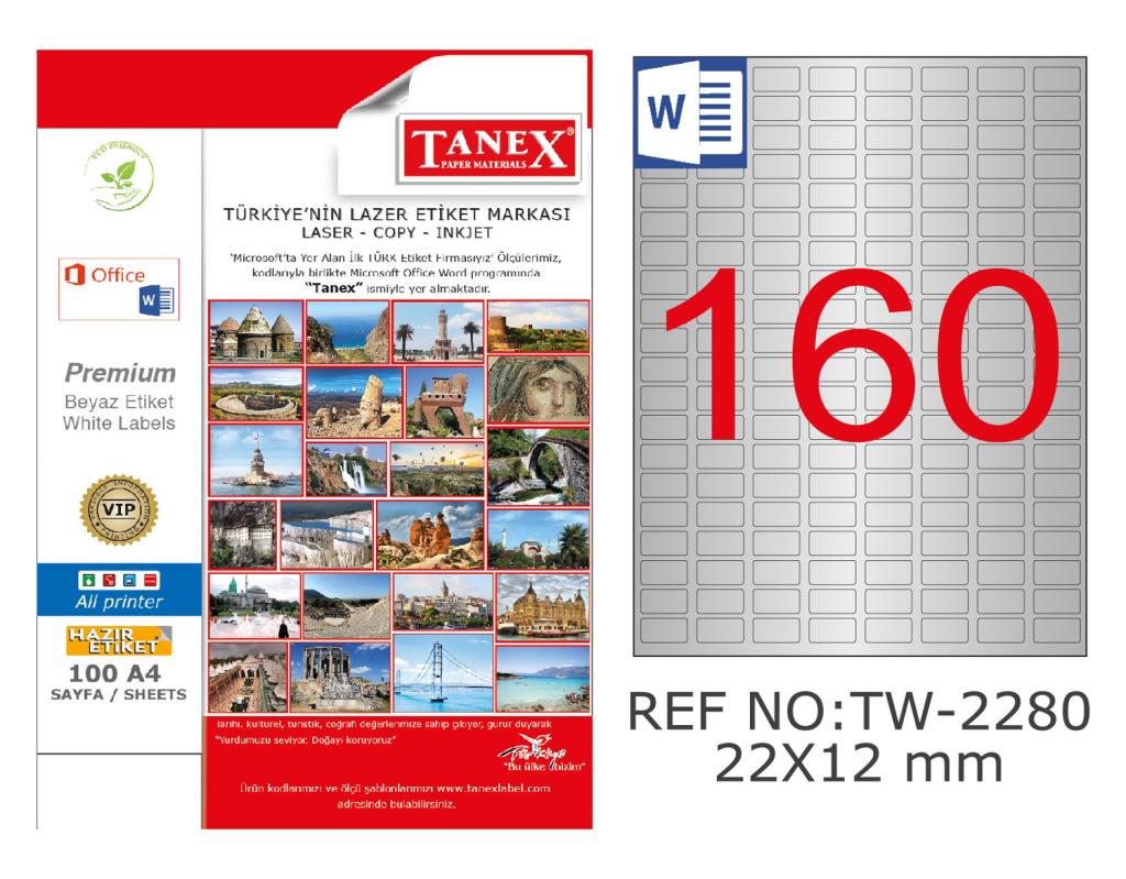 Tanex TW-2280 22x12mm Gümüş Lazer Etiket 4000 Li